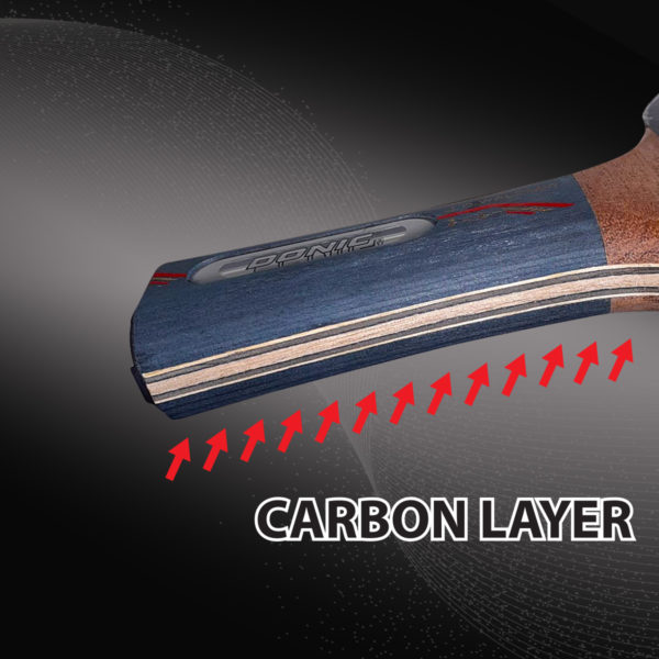 CARBON LAYER